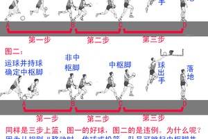 篮球训练动作要领有哪些方面